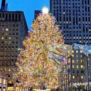 Meet your Posher, Rene